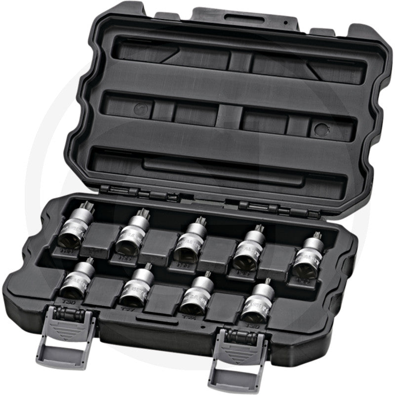 Bitssats torx